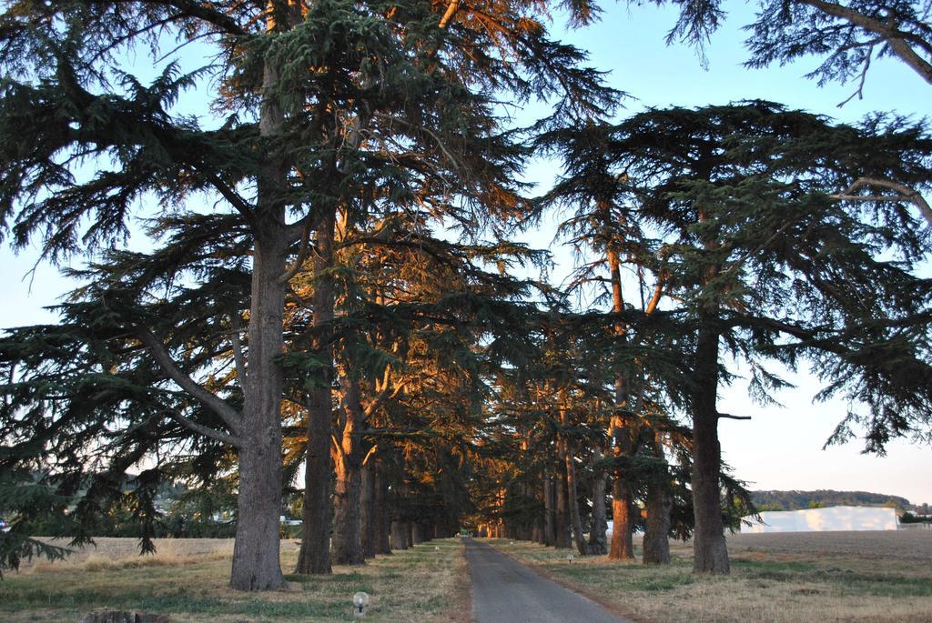 Logis Hotels - Chateau Saint Marcel Boé 외부 사진